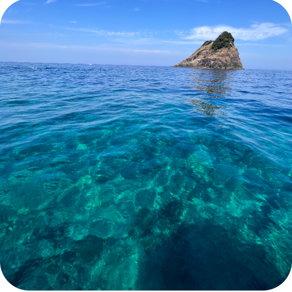 冠島ダイビング トドグリ