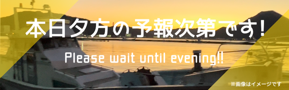 未定