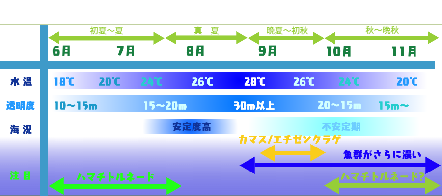 シーズン