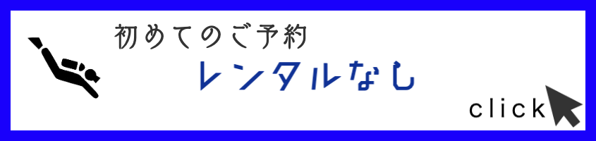 レンタルなし