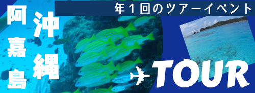 沖縄ツアー