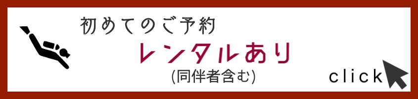 レンタルあり