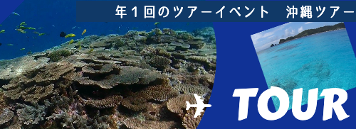 沖縄ツアー