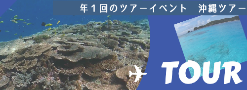 沖縄ツアー
