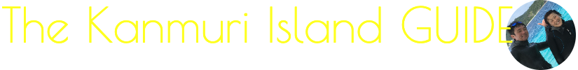 WDS