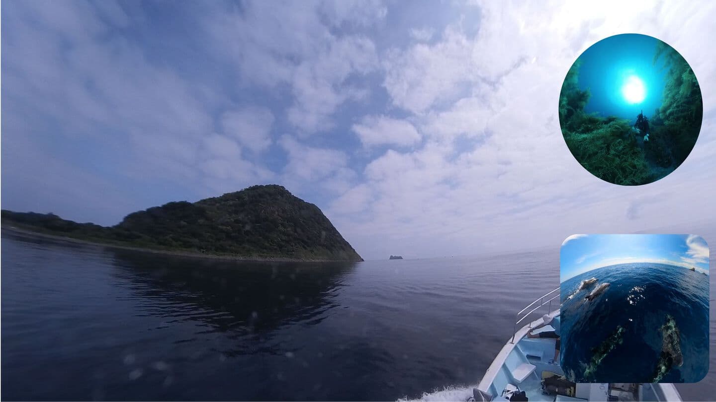 初夏