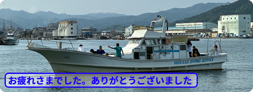 帰港