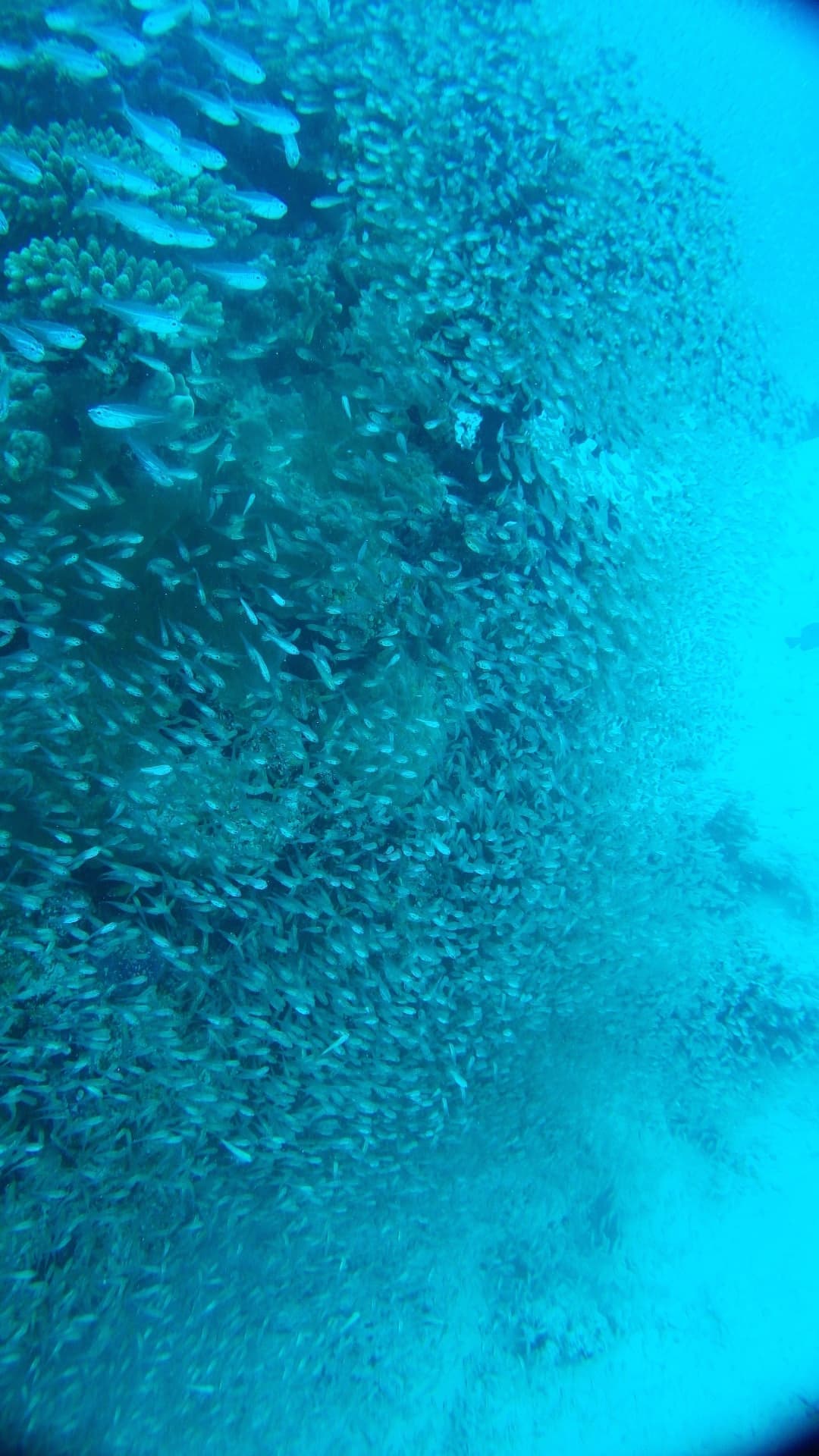 20160518_09.jpg