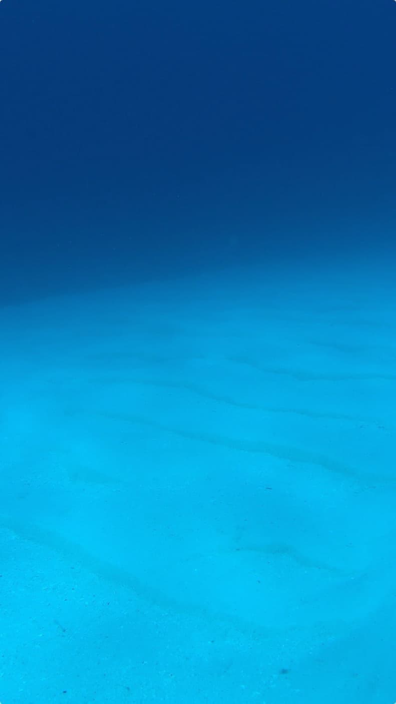 20170514_03.jpg